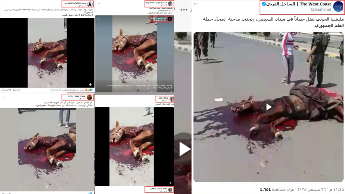 هل قتلت جماعة الحوثيين أحد "الخيول" في العاصمة صنعاء بسبب رفع العلم اليمني